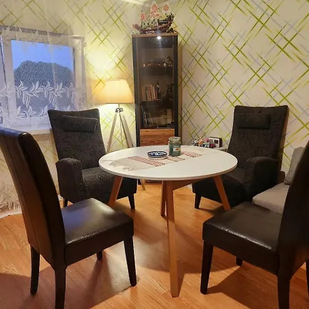 Viscosa Kuelaliskorter * Kõrgessaare