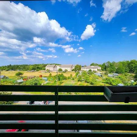 Viscosa Kuelaliskorter