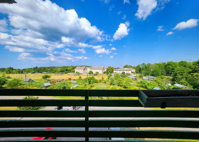 Viscosa Kuelaliskorter